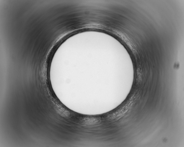 X0000103480931200810031540