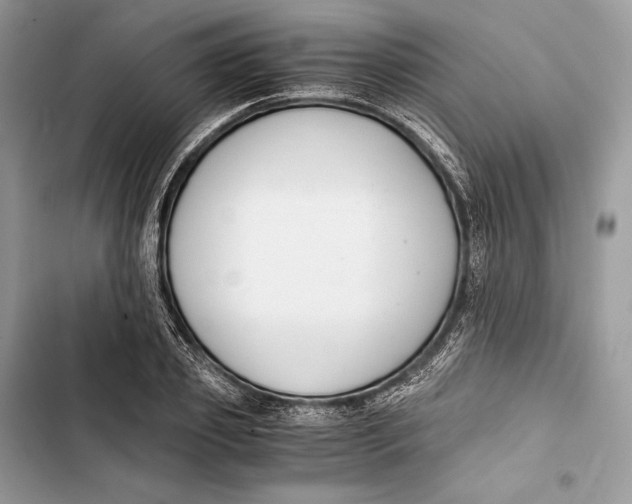 X0000103480933200810031540