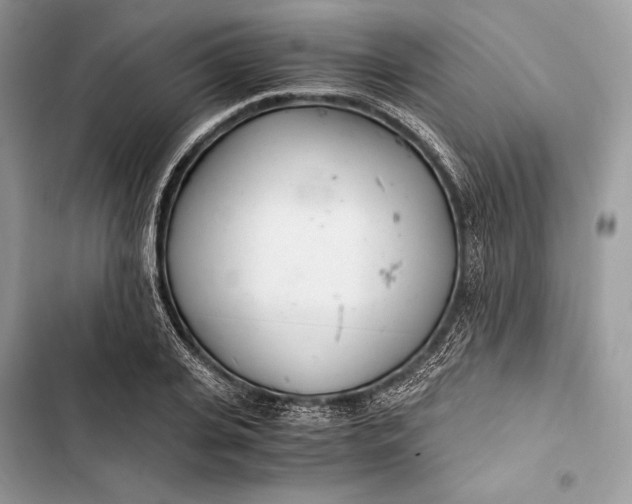 X0000103480935200810031540