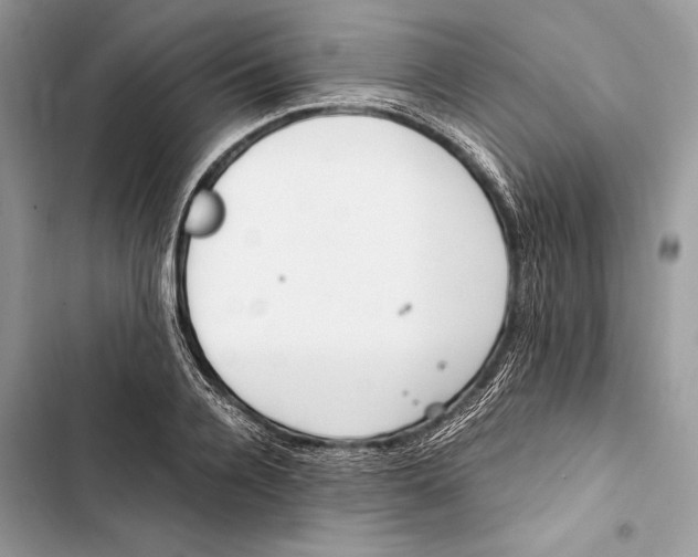 X0000103480936200810031540