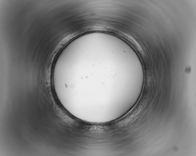 X0000103480938200810031540