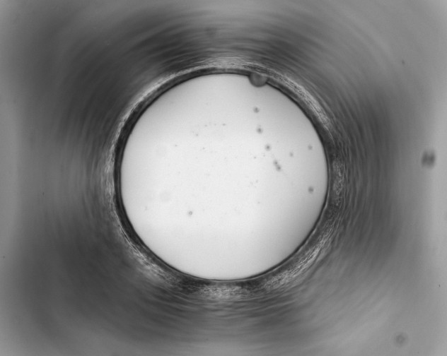 X0000103480939200810031540