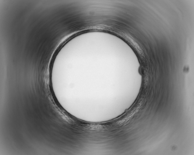 X0000103480940200810031540