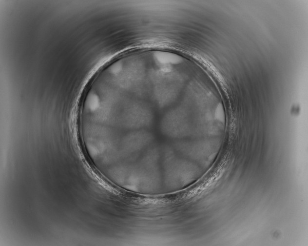 X0000103480941200810031540