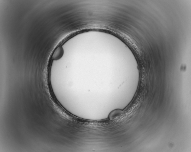 X0000103480942200810031540