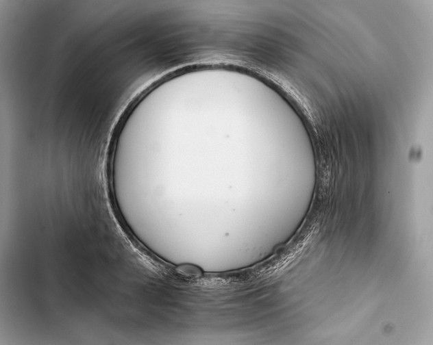 X0000103480943200810031540