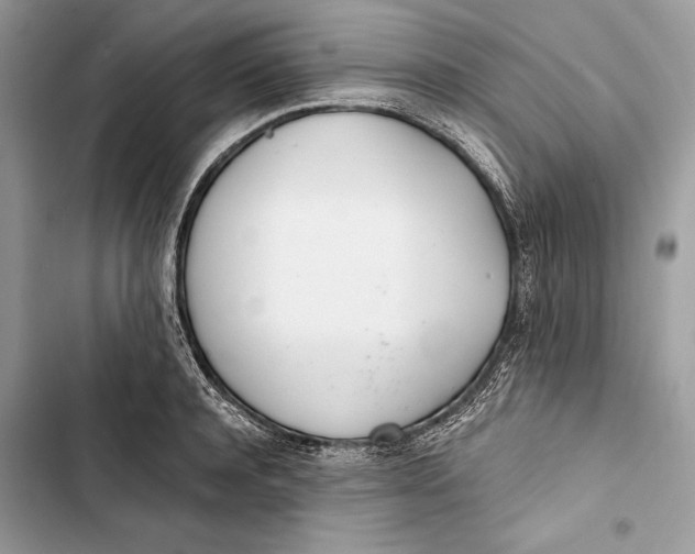 X0000103480944200810031540