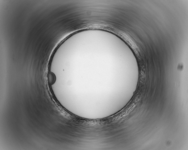 X0000103480948200810031540