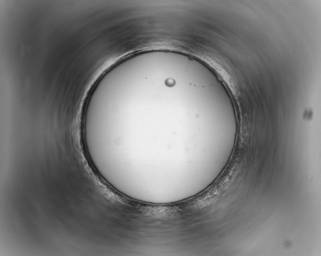 X0000103480949200810031540