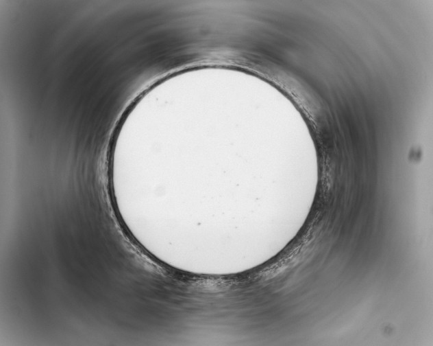 X0000103480950200810031540