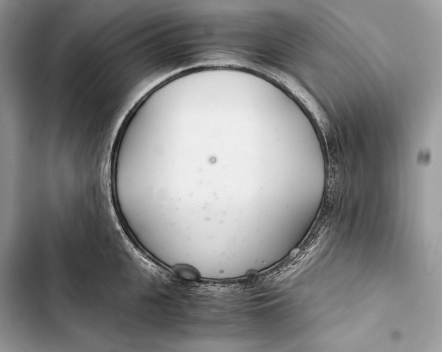 X0000103480951200810031540