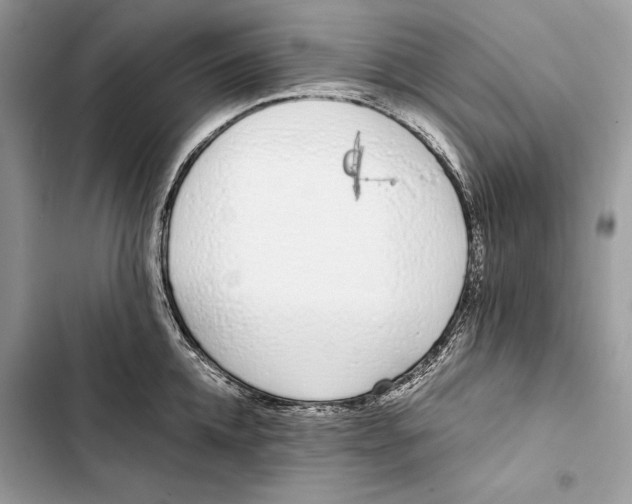 X0000103480952200810031540