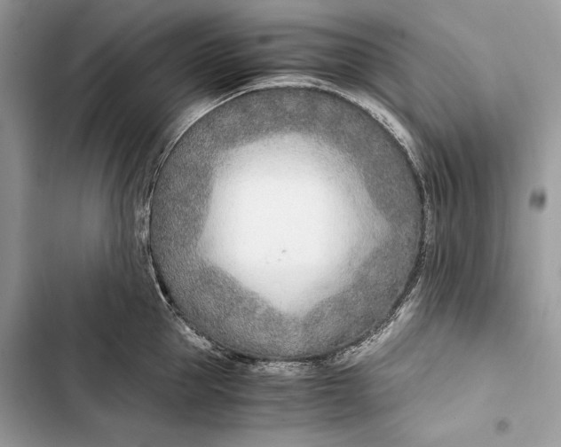 X0000103480953200810031540