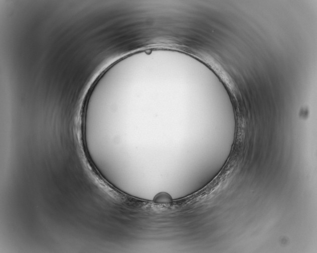 X0000103480955200810031540