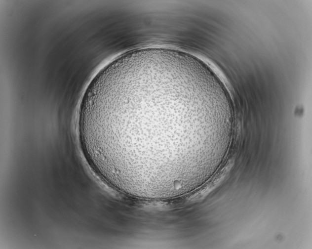 X0000103480957200810031540