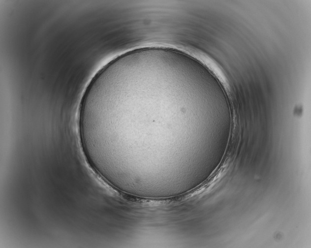 X0000103480958200810031540