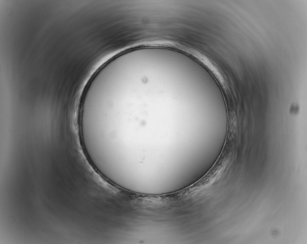 X0000103480959200810031540