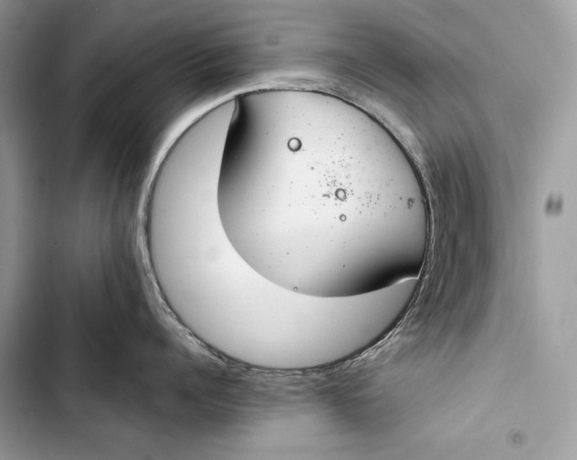 X0000103480960200810031540