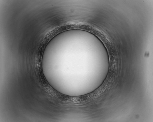 X0000103480966200810031539