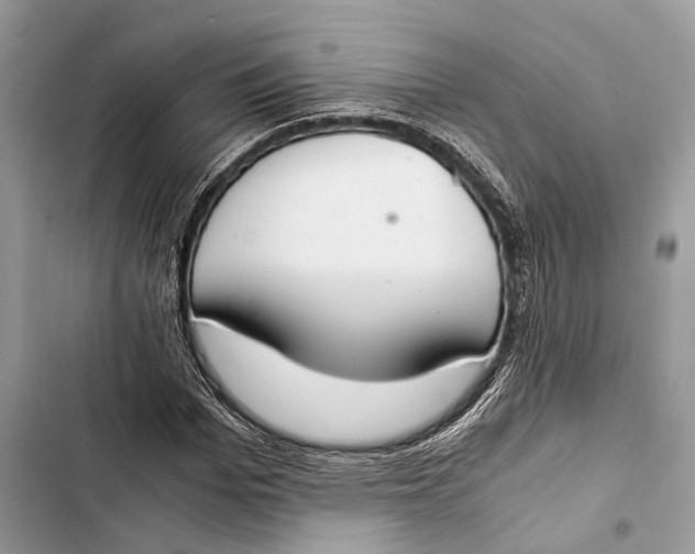 X0000103480969200810031539