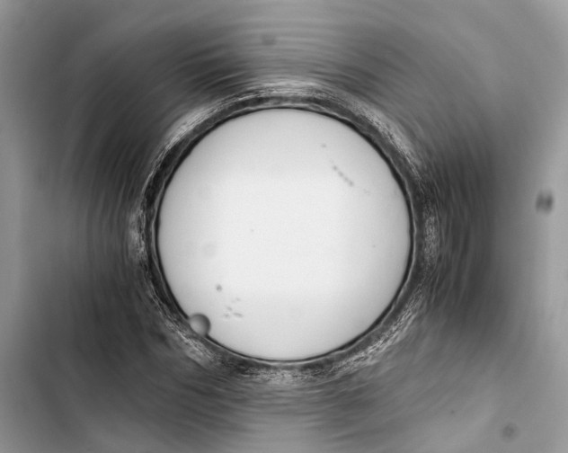 X0000103480970200810031539