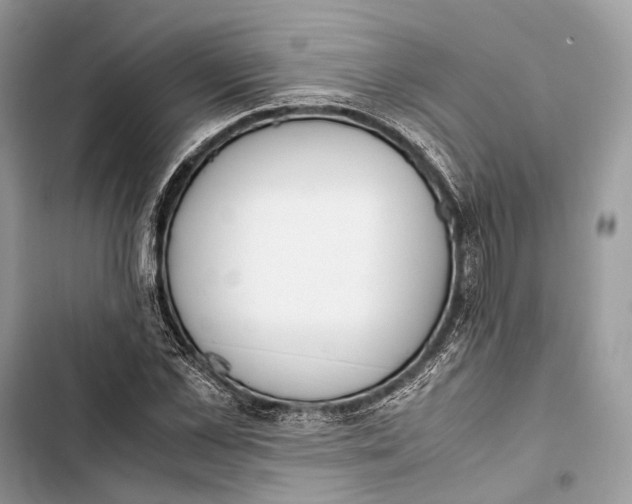 X0000103480973200810031539