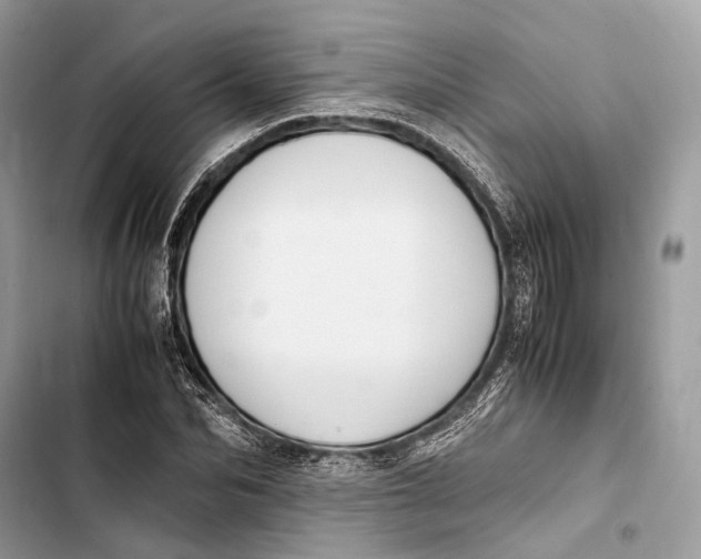 X0000103480974200810031539