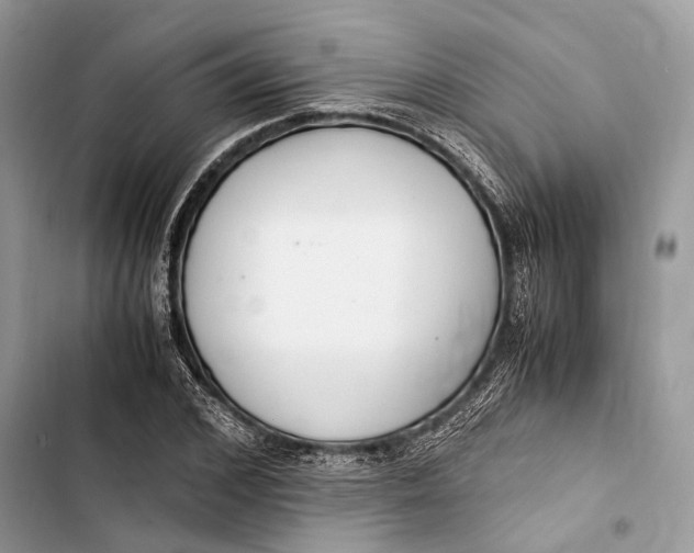 X0000103480976200810031539