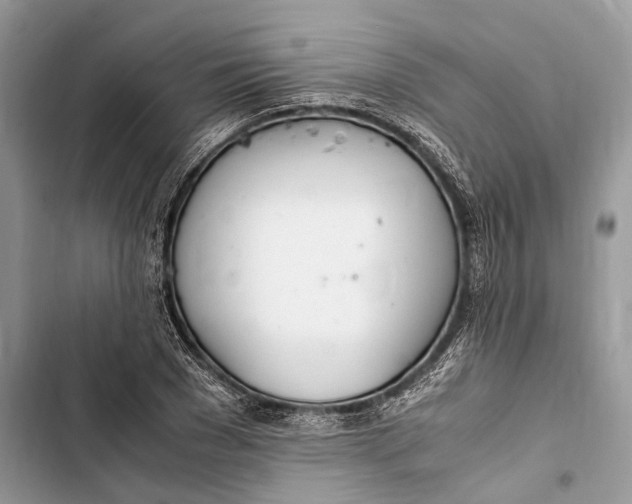 X0000103480977200810031539