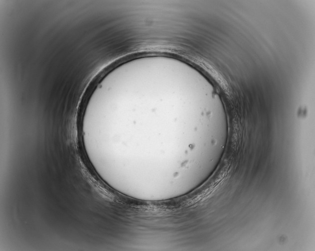 X0000103480980200810031539