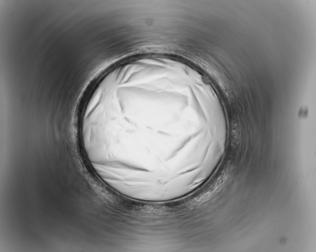 X0000103480981200810031539