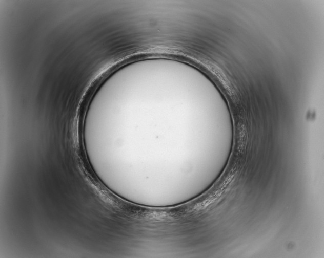 X0000103480982200810031539