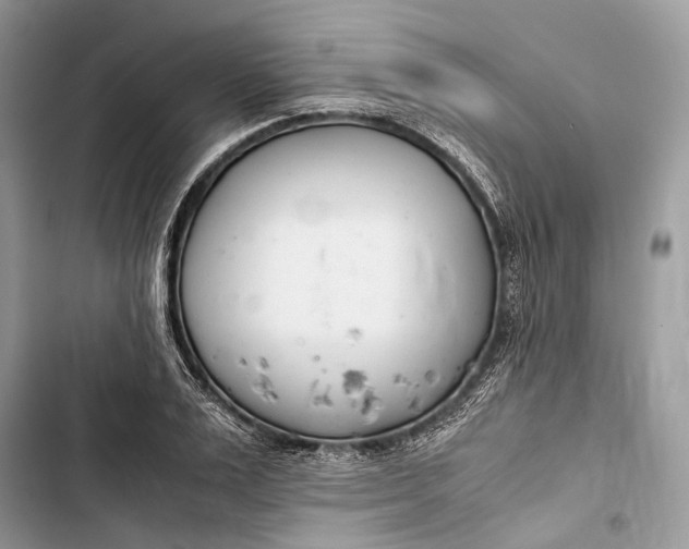 X0000103480983200810031539