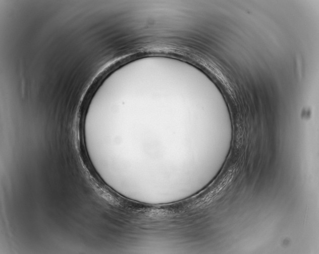 X0000103480984200810031539