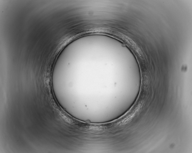 X0000103480985200810031539