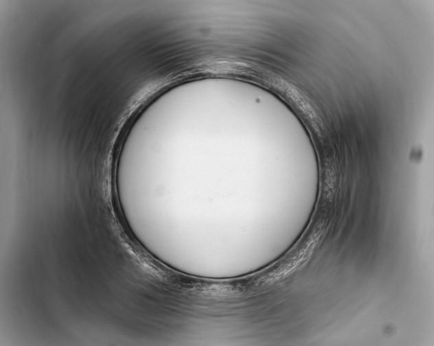 X0000103480986200810031539