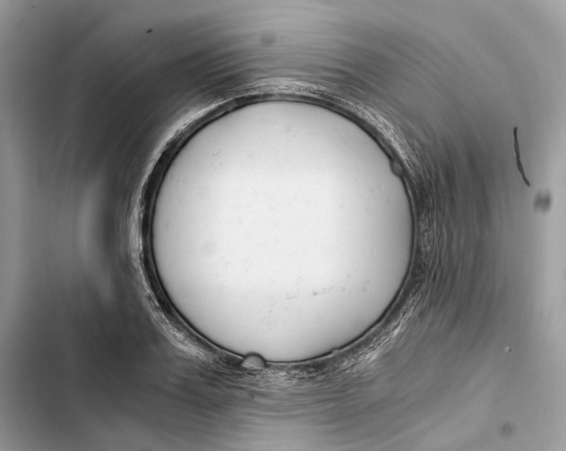 X0000103480987200810031539