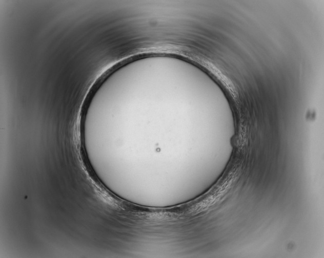 X0000103480988200810031539