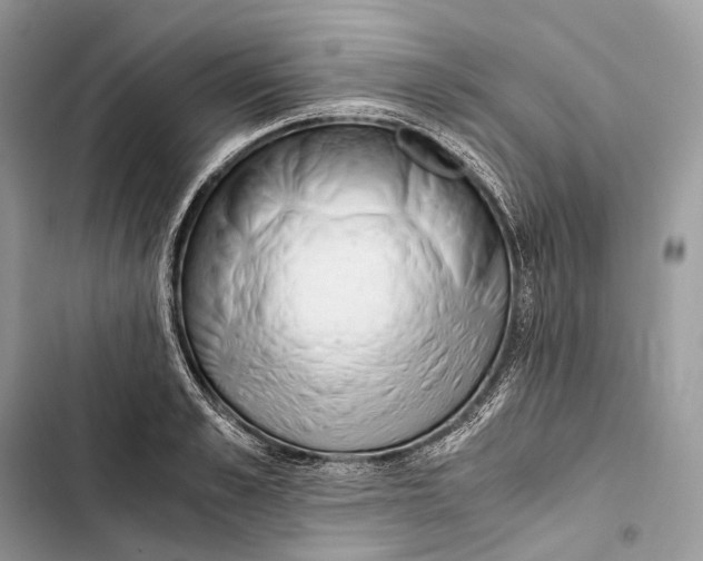 X0000103480989200810031539