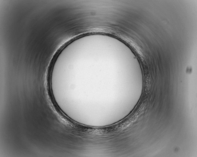 X0000103480991200810031539