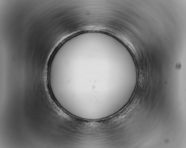 X0000103480992200810031539