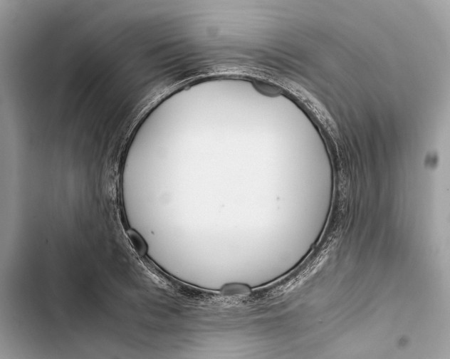 X0000103480993200810031539