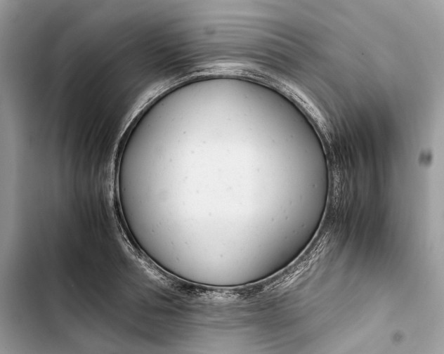 X0000103480994200810031539