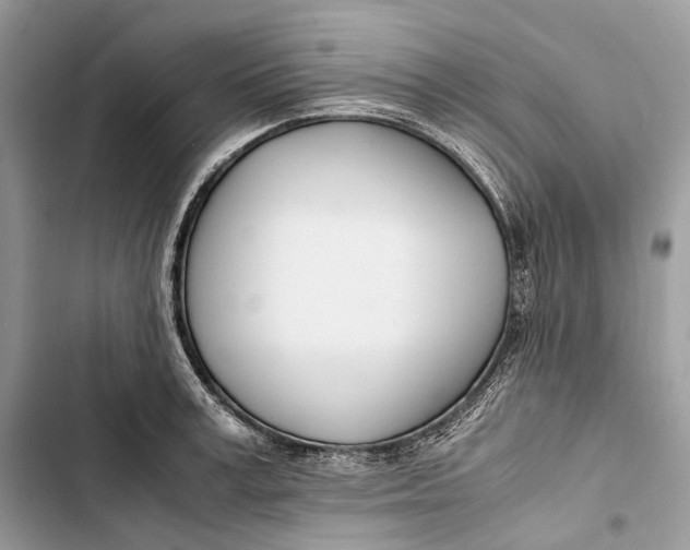 X0000103480995200810031539