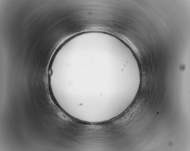 X0000103480996200810031539