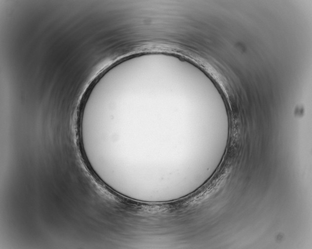 X0000103480997200810031539