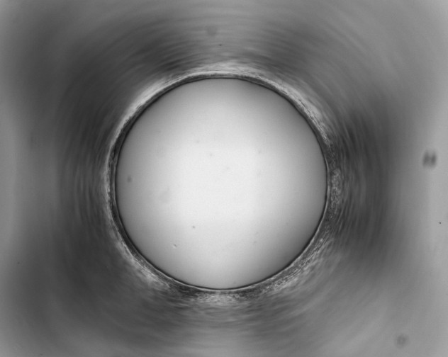 X0000103480998200810031539