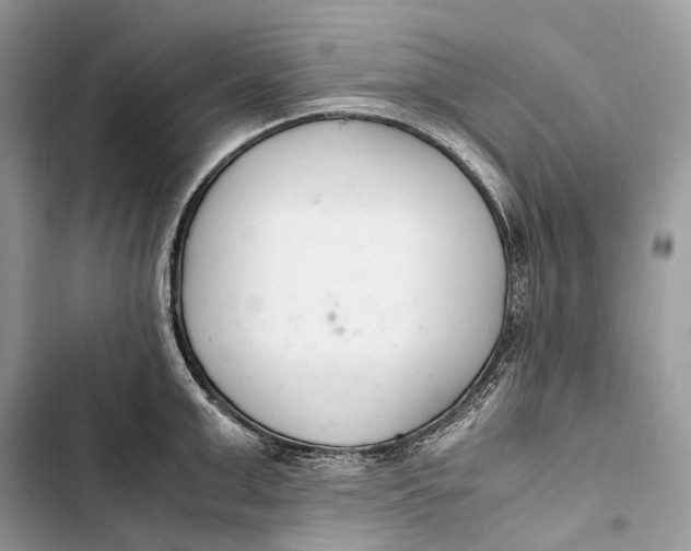 X0000103480999200810031539