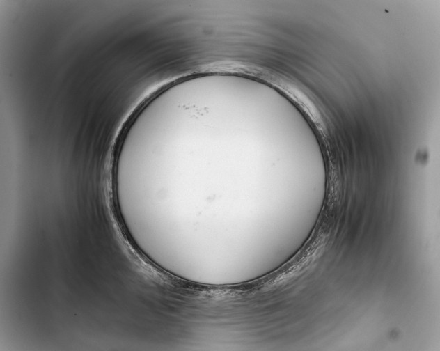 X0000103481000200810031539