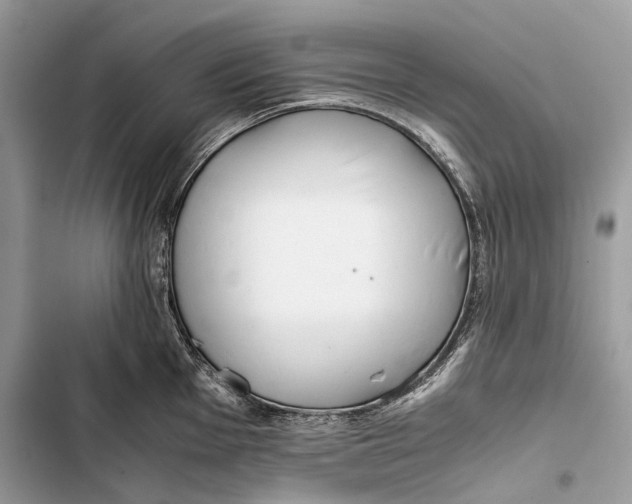 X0000103481001200810031539